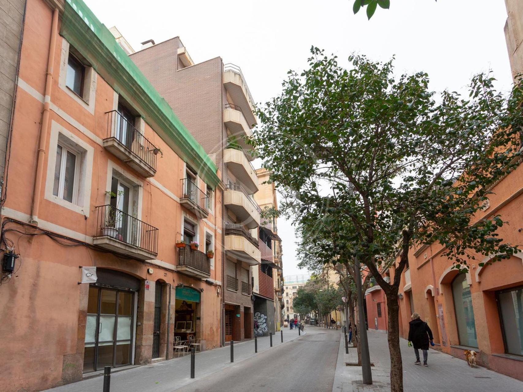 Bonito Apartamento En Gracia برشلونة المظهر الخارجي الصورة